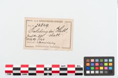 Etiketten zu Bronzearmreif (NHMW-PRAE-024849)